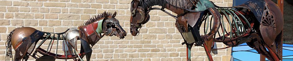 Michelle Reader - Horses header